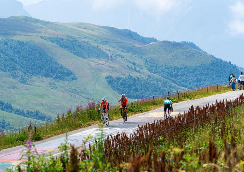 Hôtel Casa Moho | Saint-François-Longchamp