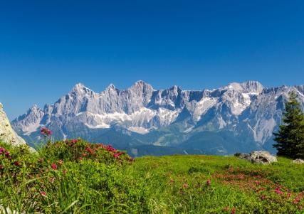 Hôtel Casa Moho | Saint-François-Longchamp